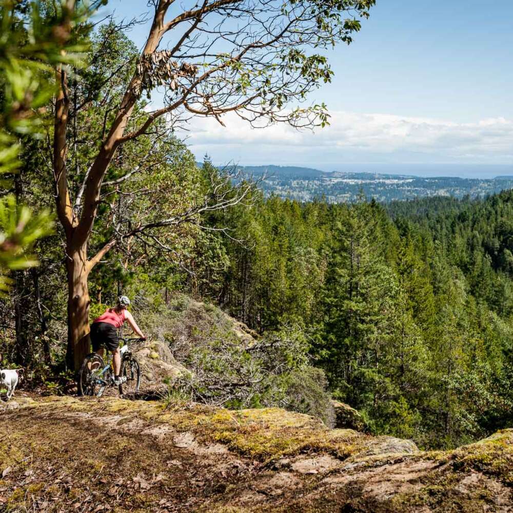 bcbr-blog-take-a-look-at-the-bc-bike-race-blog-and-journal