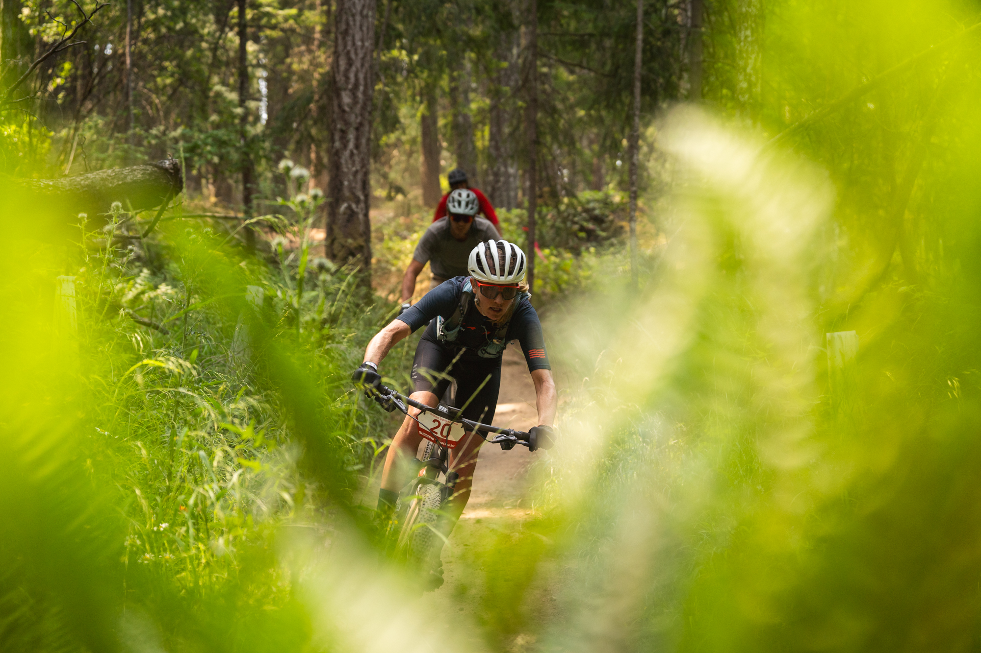 The best entry-level mountain bikes this year - Canadian Cycling