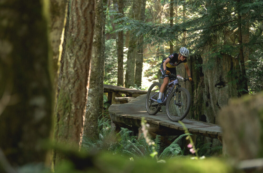 aBCBR25_2_0652_DS aBCBR25_2_0652_DS