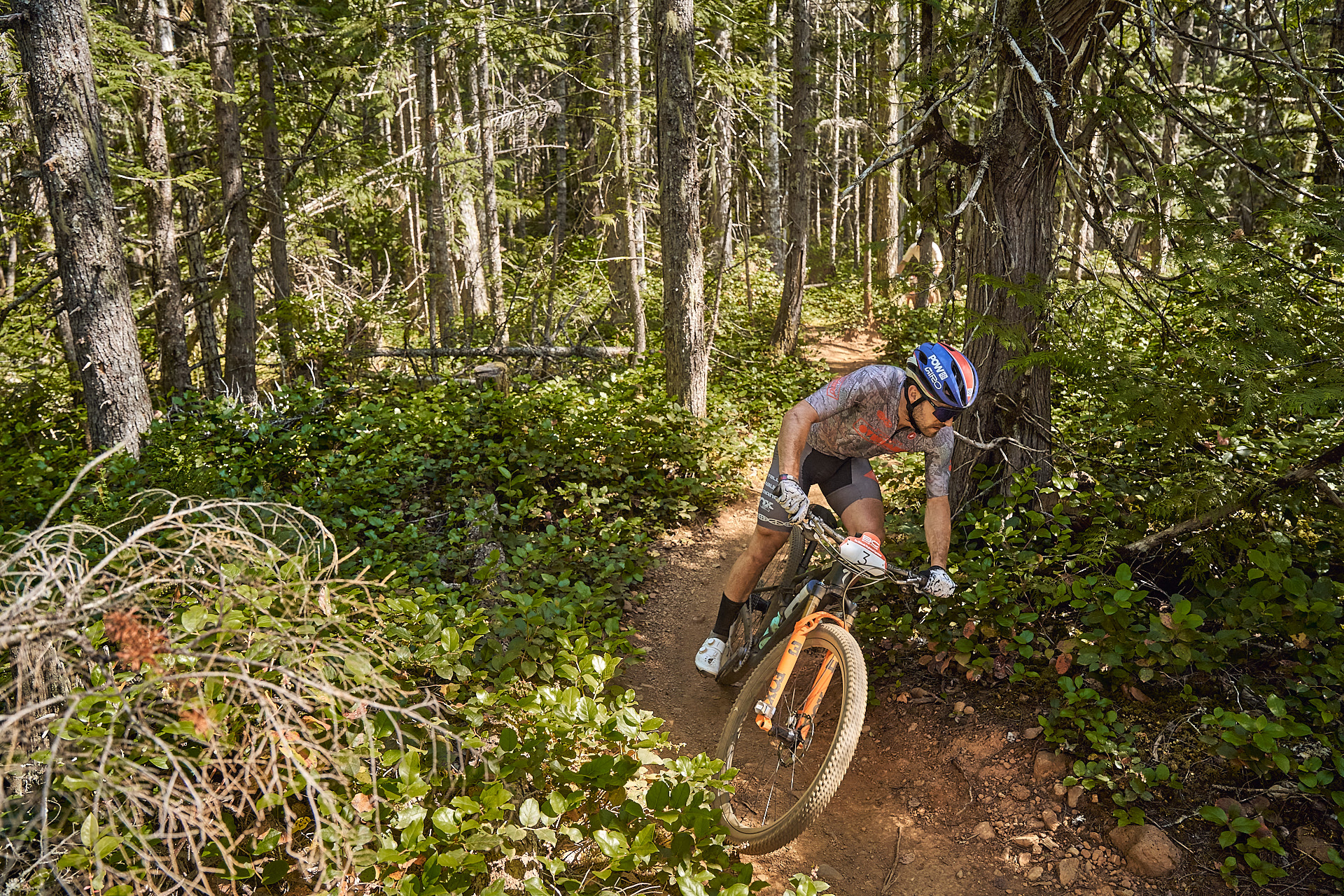 From the Trainer to the Trail