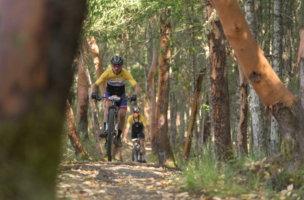 aasBCBR25_4_0255_DS aasBCBR25_4_0255_DS