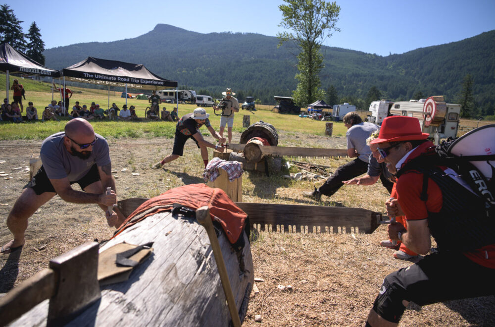 bcbr-2025-logger-ds bcbr-2025-logger-ds