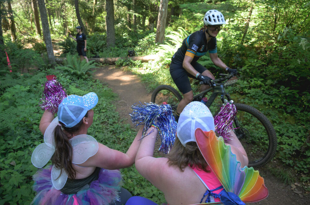 bcbr-2025-mcgarrigle-ds bcbr-2025-mcgarrigle-ds