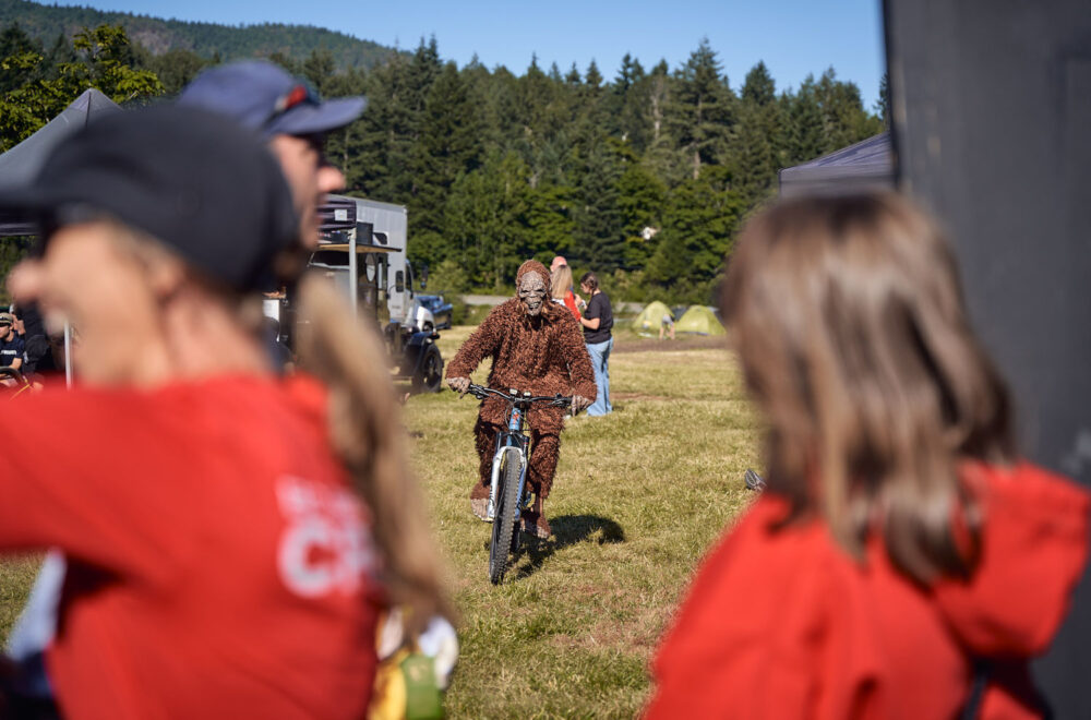 bcbr2025-gorilla-dm bcbr2025-gorilla-dm