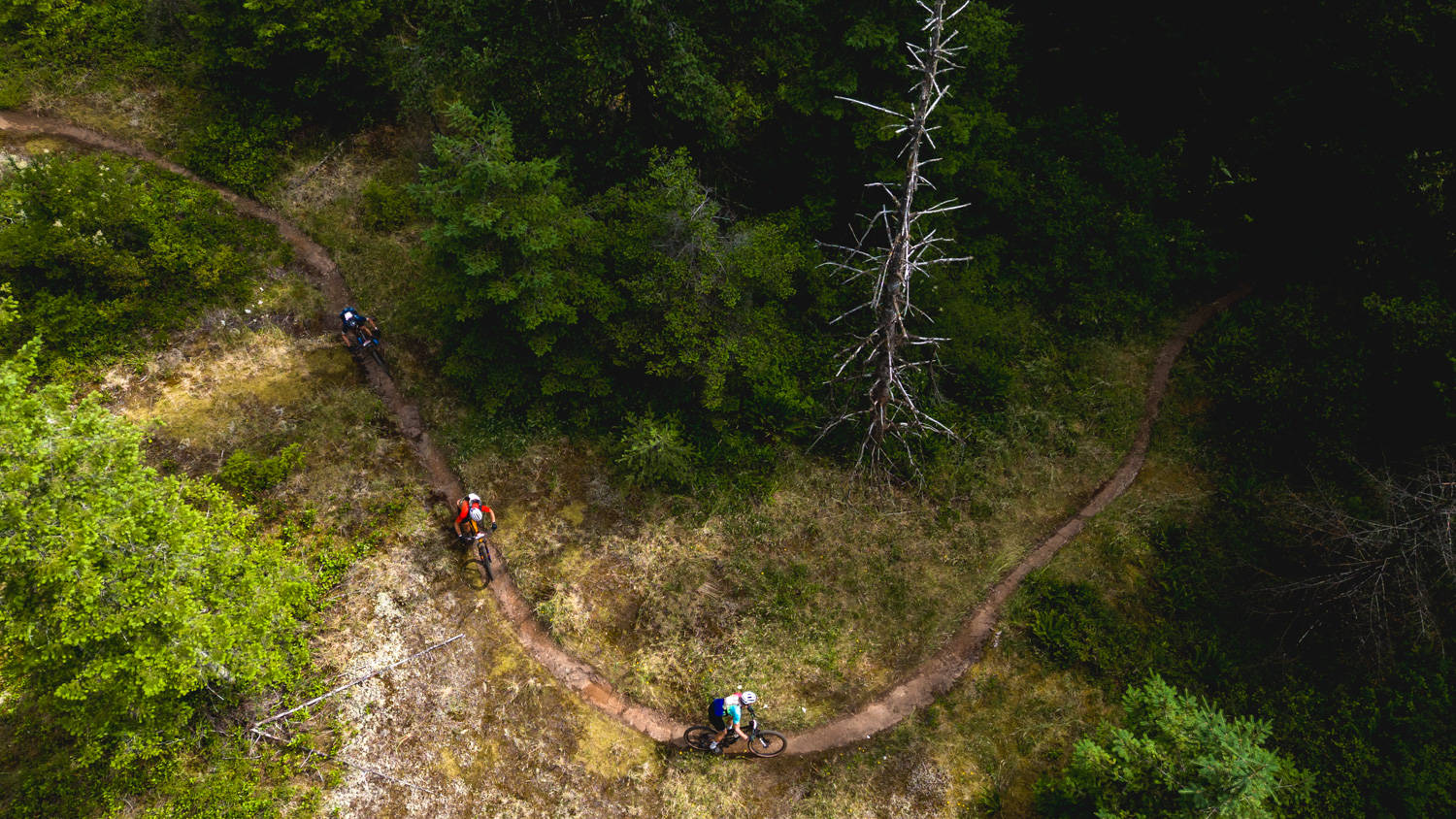 Day 6 Vibe Check: The Flow Zone in Campbell River