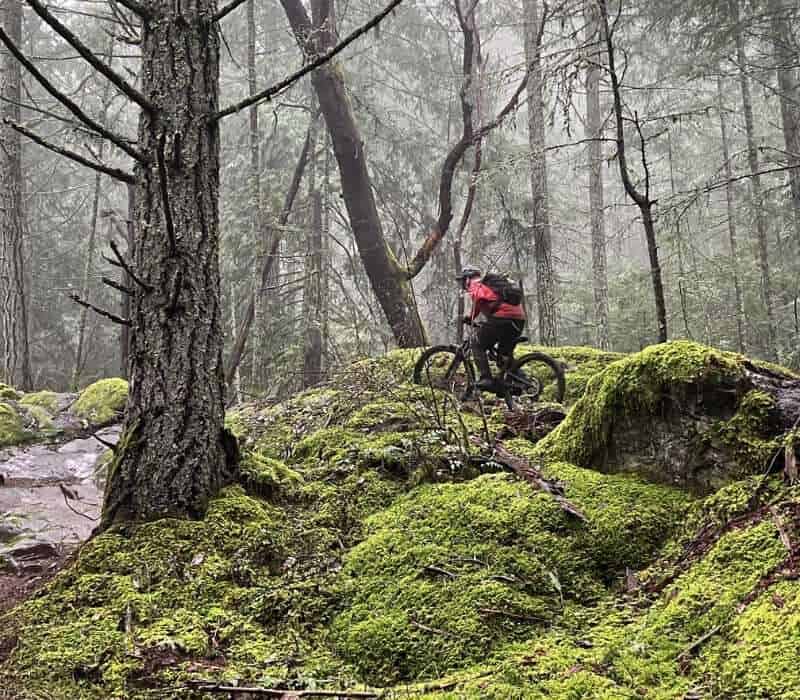 mountain biker riding through a foggy forest in the fall