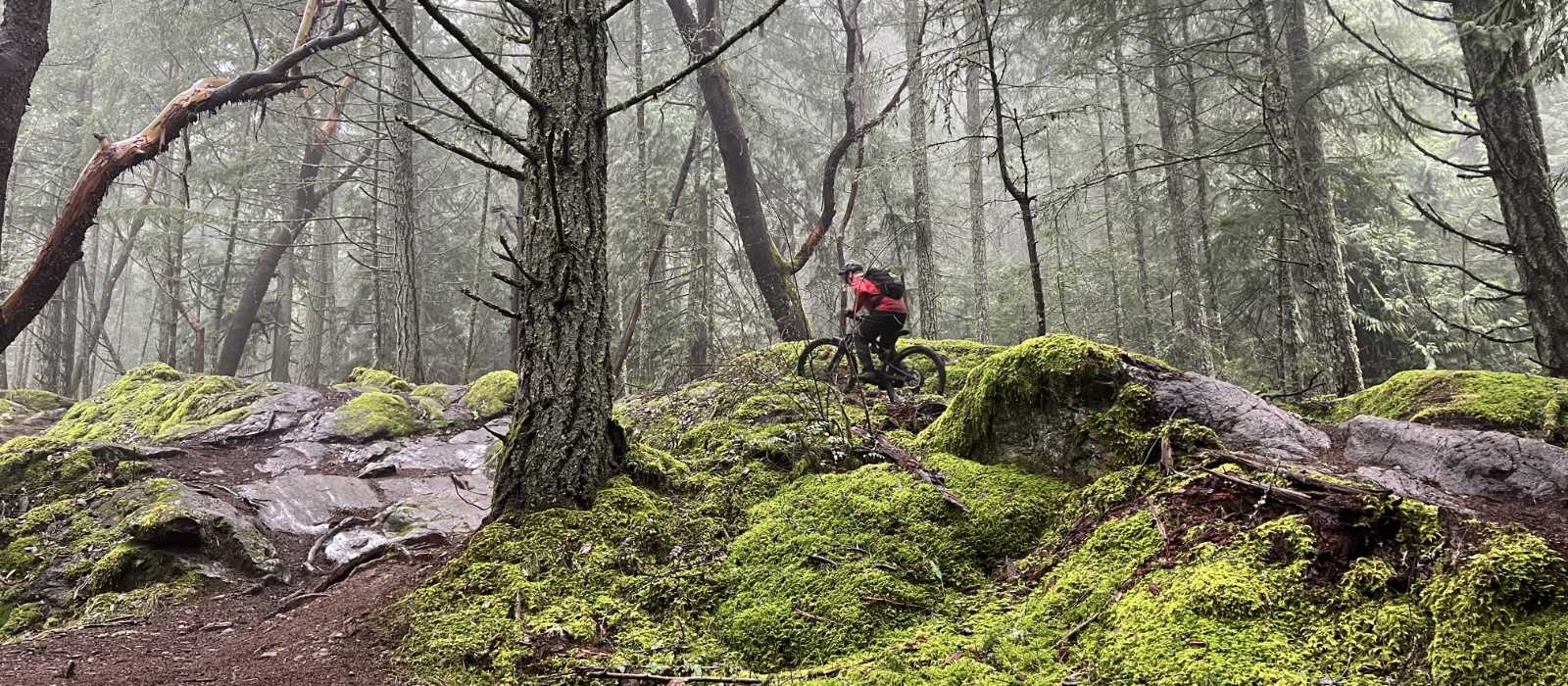 Coaches Corner: November Training Tips