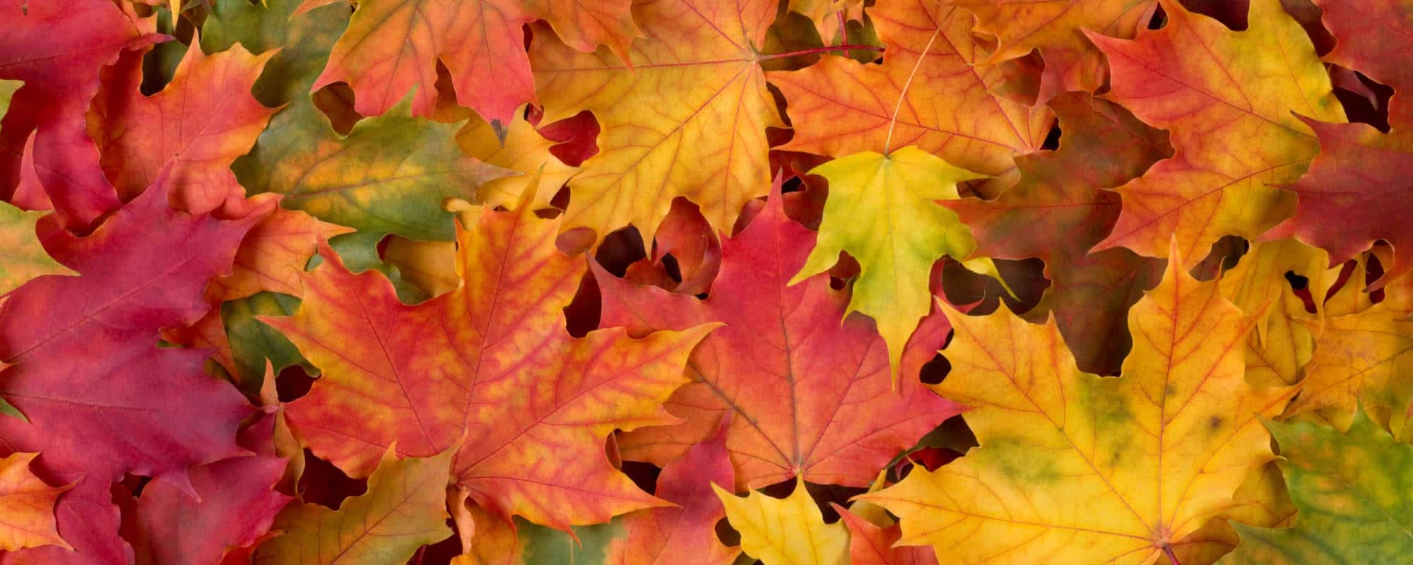 Coaches Corner: October Training Tips