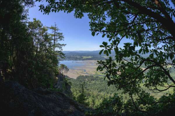BCBR26_Day_5_DaveSilverPhoto_0004