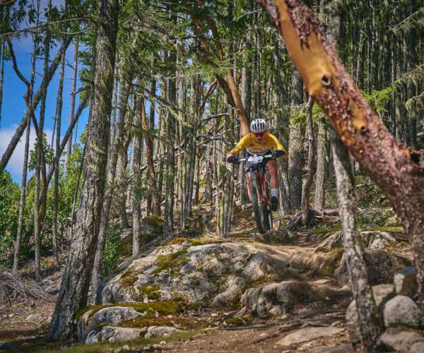 BCBR_2026_Day_4_Deniz_Merdano 10