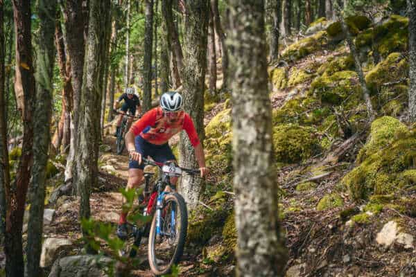 BCBR_2026_Day_4_Deniz_Merdano 21