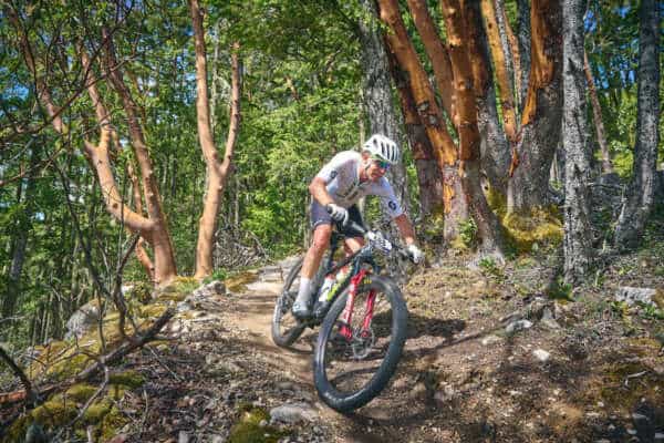 BCBR_2026_Day_4_Deniz_Merdano 29
