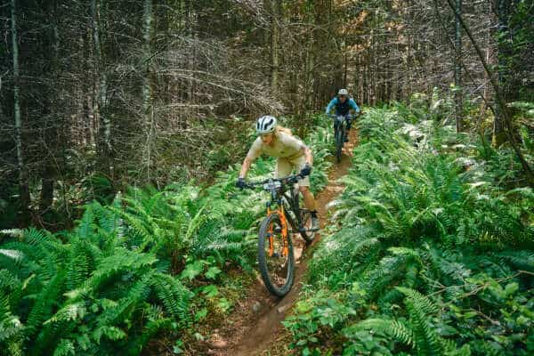 aBCBR_2026_Day_4_Deniz_Merdano 50